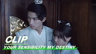 Clip: Kiss, Kiss And Kiss! | Your Sensibility My Destiny EP14 | 公子倾城 | iQiyi