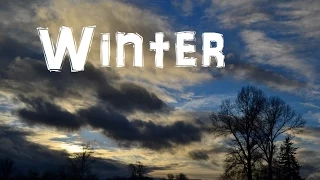 (The Northwest Forager) Ep. 10 Winter Solstice