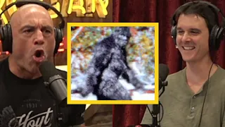 Joe rogan goes deep on the Bigfoot rabbit hole | w/Brian muraresku