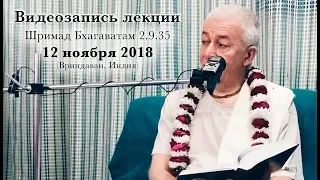 12 ноября 2018 Шримад Бхагаватам 2.9.39 (Вриндаван)