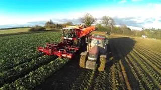 Agrifac 12 row sugar beet harvester HexxTraxx