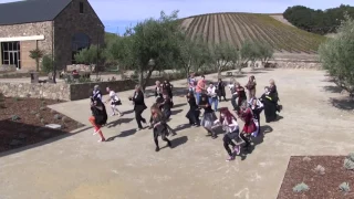 Thriller Dance at Niner Winery 2016 October