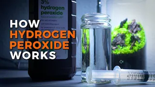 Hydrogen Peroxide for Algae Control in the Aquarium