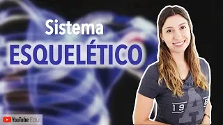 Sistema Esquelético 1/5: Introdução | Anatomia e etc