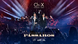 Chitãozinho & Xororó - Pássaros [DVD 50 Anos Ao Vivo no Radio City Music Hall - NY]