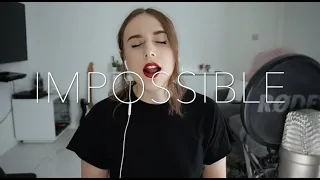 Impossible - Nothing But Thieves (cover)