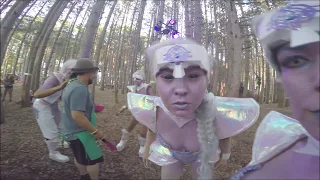 Electric Forest Experience 2017 (documentary and music video)