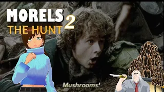 Lets hunt for Mushrooms! Morels the hunt 2