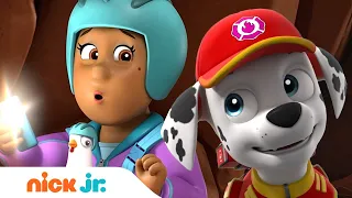 PAW Patrol Marshall Rescues Mayor Goodway & Chickaletta! w/ Skye & Ryder | Nick Jr.