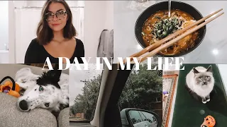 VLOG | rainy day, master bedroom & living room updates, homegoods decor haul, yummy ramen dinner