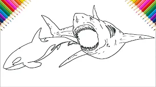 Orca vs Megalodon How to Draw | Step by Step