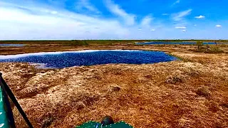 Злые рыбы Васюганских болот.Крупный окунь на блесну.