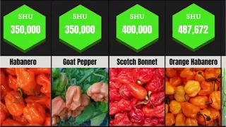 Comparação de pimenta | As pimentas mais fortes do mundo por SHU (escala de Scoville)