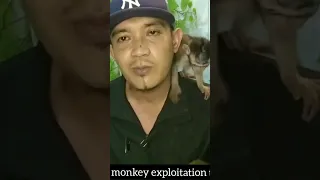 must watch. monkey torture. #shorts