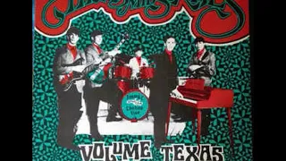 V/A Highs In The Mid Sixties Volume 23: Texas Part 5