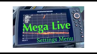 Mega Live Settings