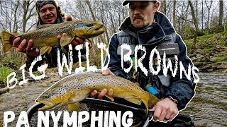 Fly Fishing for BIG Wild Brown Trout (PA EURO NYMPHING)