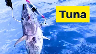 The Unspoken Sorrow of Bluefin Tuna Fishing