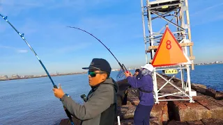 These Jetty MONSTERS Were Not Ready for These FISHERMEN!!