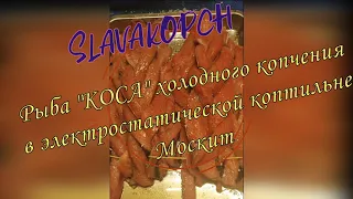 Рыба КОСА холодного копчения в электростатической коптильне москит