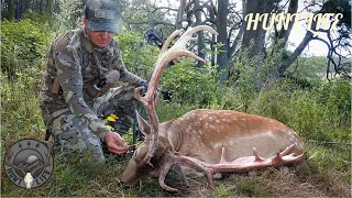 FINALLY!!!! A big old fallow buck on the ground…
