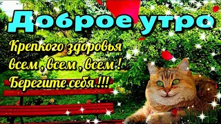 💗🌞💗Доброго утра благословенного дня!💗🌞Отличной недели!💗Красивое музыкальное пожелание🎵