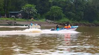 Borneo Wildlife Tour Trailer (Sandakan & Tabin) - 30 Secs (HD)