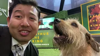 Simu Liu and the Cast and Crew of ‘Arthur the King’ Speak at the LA Premiere