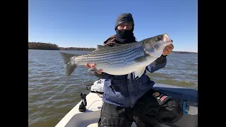 Striper Fishing High Rock Lake