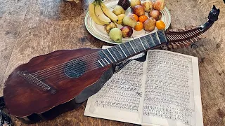 The Flat Pavan （Margaret Board Lute Book) on Orpharion, Played by Taro Takeuchi