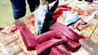 FRESH TUNA FISH CUTTING SKILLS | Indian Ocean Tuna Fish Cutting In Maldives