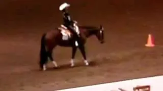 2008 AQHA Congress Reserve Champion Novice Amateur Horsemanship