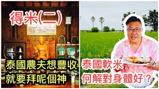 2023/9/18 🌅🌾【深入泰國稻田實拍】低升糖指數品種RD43泰國米，糖尿病人最啱食！泰國農民拜的豐收女神是誰？~✹香港移居泰國 旅遊達人Roger Wu胡慧冲