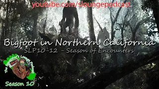 Northen California Bigfoot - SLP10-12