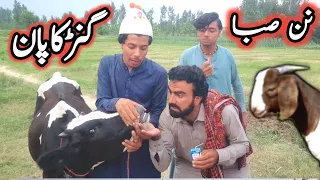 Da Nan Saba Gunkapan || Pashto New Funny Video 2022 By Tuti Gull Vines