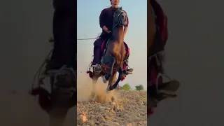 Horse Rider Riding Horse | Tent Pegging in Pakistan | #shorts