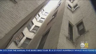 Woman Survives Fall From Roof Of 5-Story Building