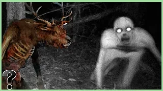 What If The Wendigo Fought The Rake?