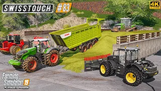 Chopping Maize & Making Silage. Harvesting Corn ⭐ Swisstouch #83 ⭐ FS19 4K Timelapse