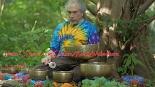 Quick 7 Min Chakra Tune up by the Redwood Tree ~ 1 min each Chakra ~ Crown to Root