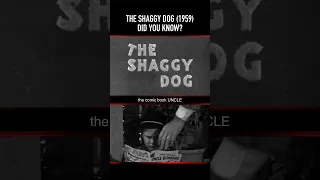 Did you know about THIS Easter egg in THE SHAGGY DOG (1959)?