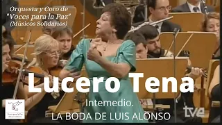 Intermedio. La boda de Luís Alonso. Castañuelas: Lucero Tena