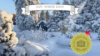 ☃️Simple & Unhurried Days☃️ | First Snow| Cozy Fires [New York USA] EP 18 #wintergardening #gardens