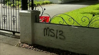 Man arrested for vandalizing multiple properties across Coral Gables