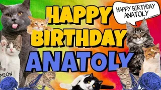 Happy Birthday Anatoly! Crazy Cats Say Happy Birthday Anatoly (Very Funny)