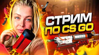 💗KatySofia💗  CS GO💗 КС ГО♥СТРИМ💣ДЕВУШКА👑STREAM/КСГО💣stream👑прайм В CS:GO💣ВЕБКА♥