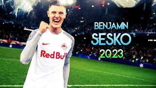 Benjamin Sesko 2023 🌟 Assists, Skills & Goals ► RB SALZBURG