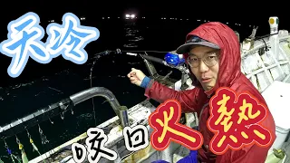 僧少粥多！？天寒沒有人要釣？輕鬆休閒釣魚狂拉XX斤，有賺又有玩真不賴