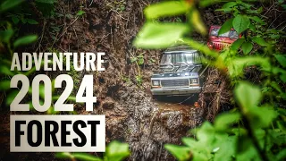RC ADVENTURE 2024 IN FOREST / WATERFALL  2024