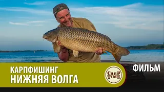 ⭐ Карпфишинг на НИЖНЕЙ ВОЛГЕ! Ловля дикого САЗАНА на БОЙЛЫ ФИЛЬМ